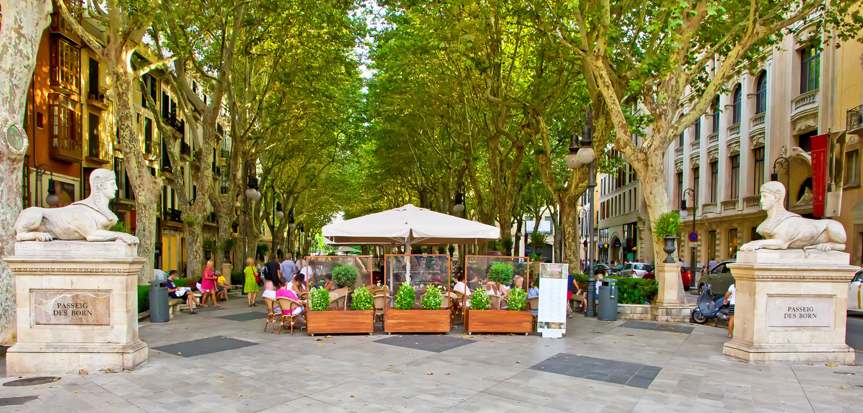 Passeig des born - Palma de Mallorca