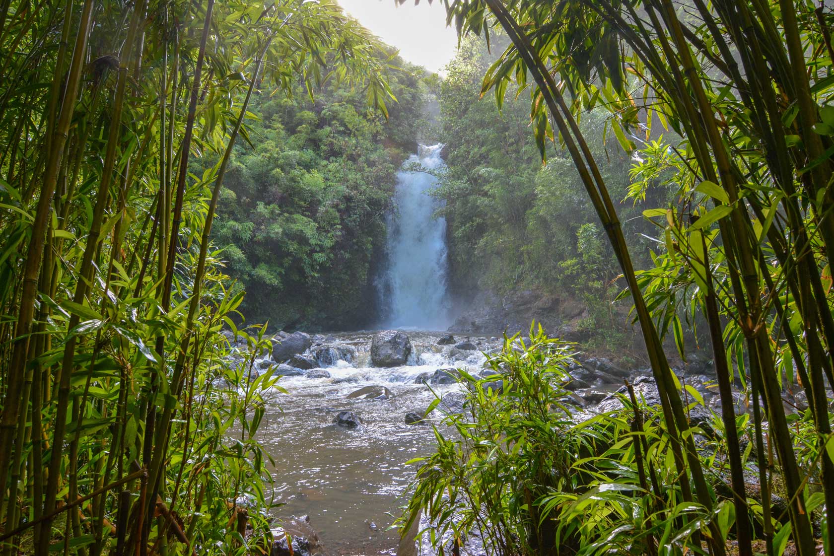 Tropical waterfall on the island of Maui, Hawaii framed through a forest of bamboo trees