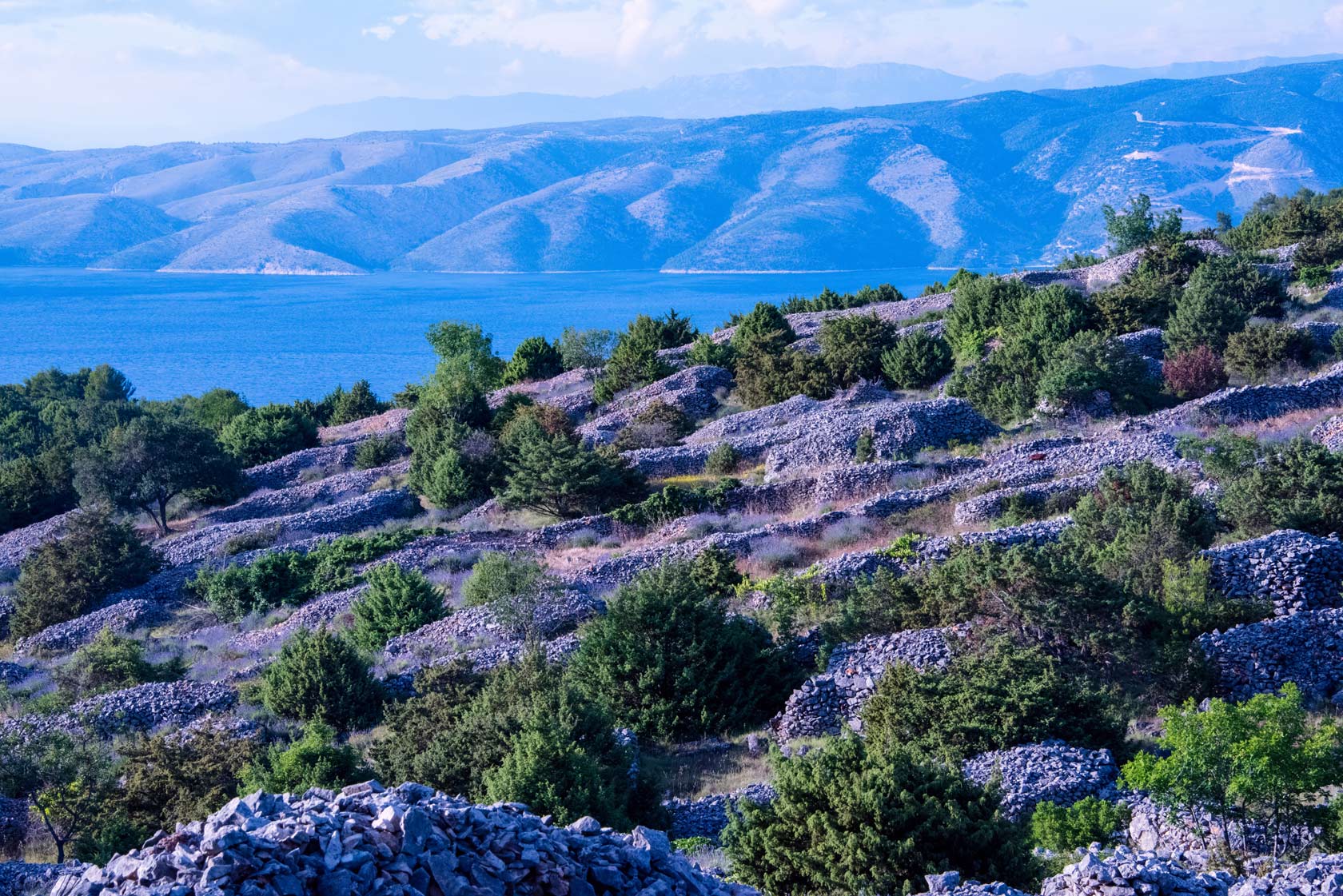 Hvar