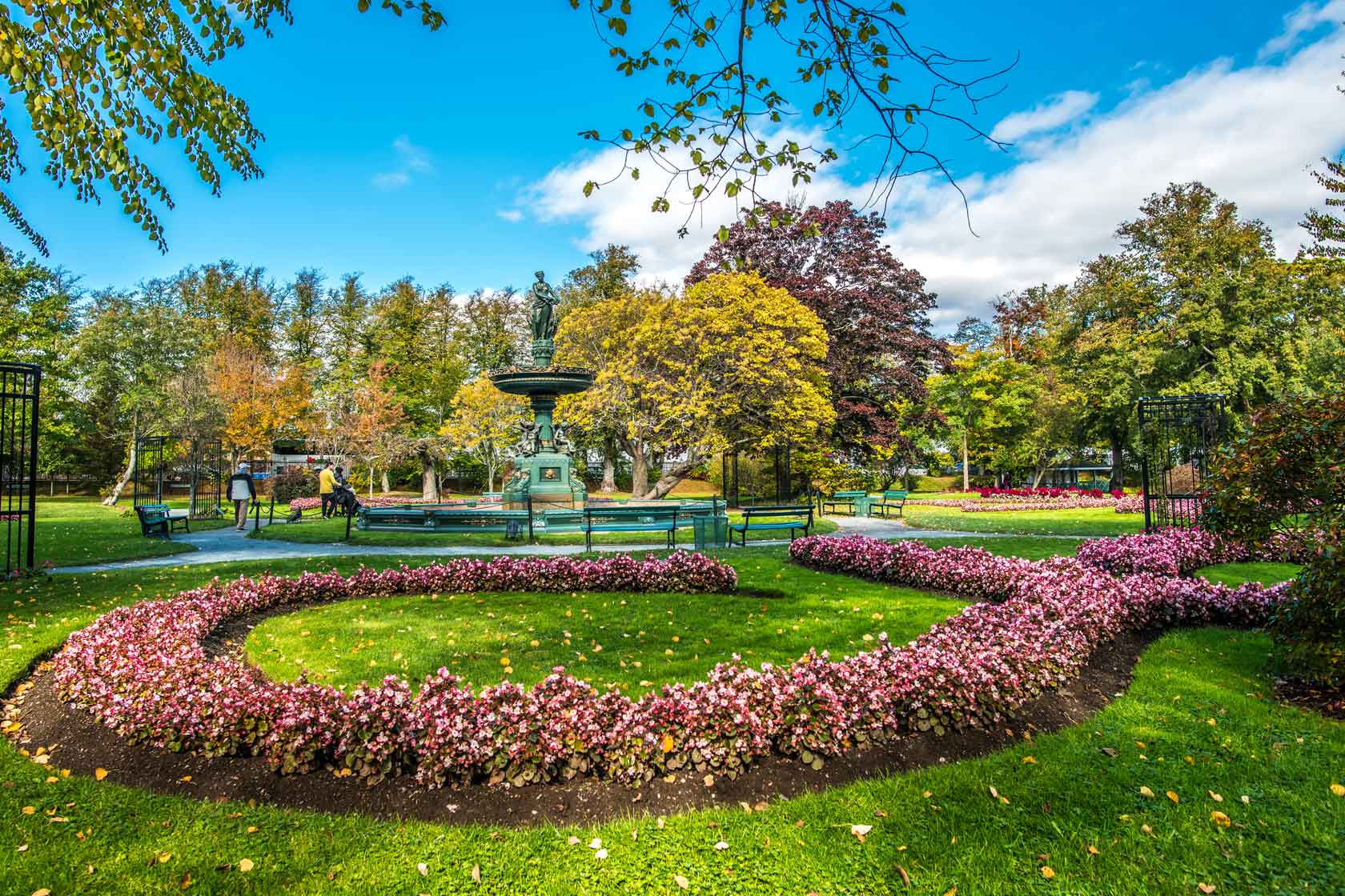 Garden in Halifax