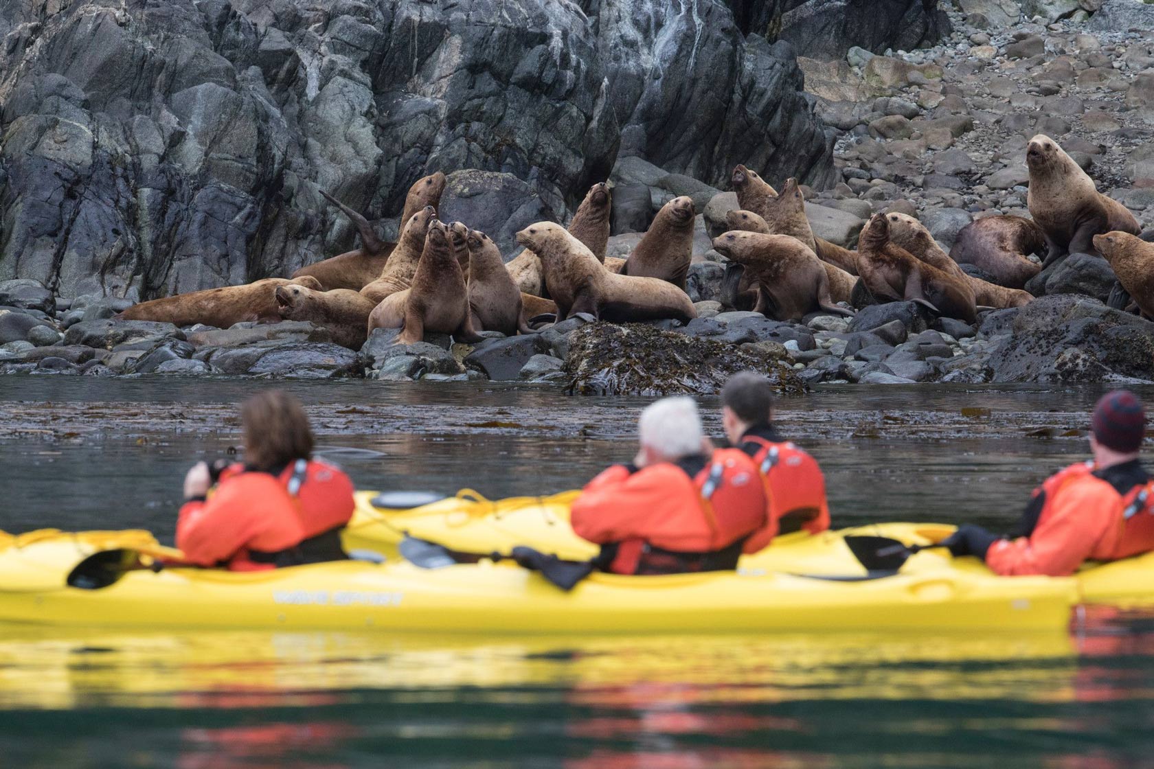 Inian Islands Kayaking