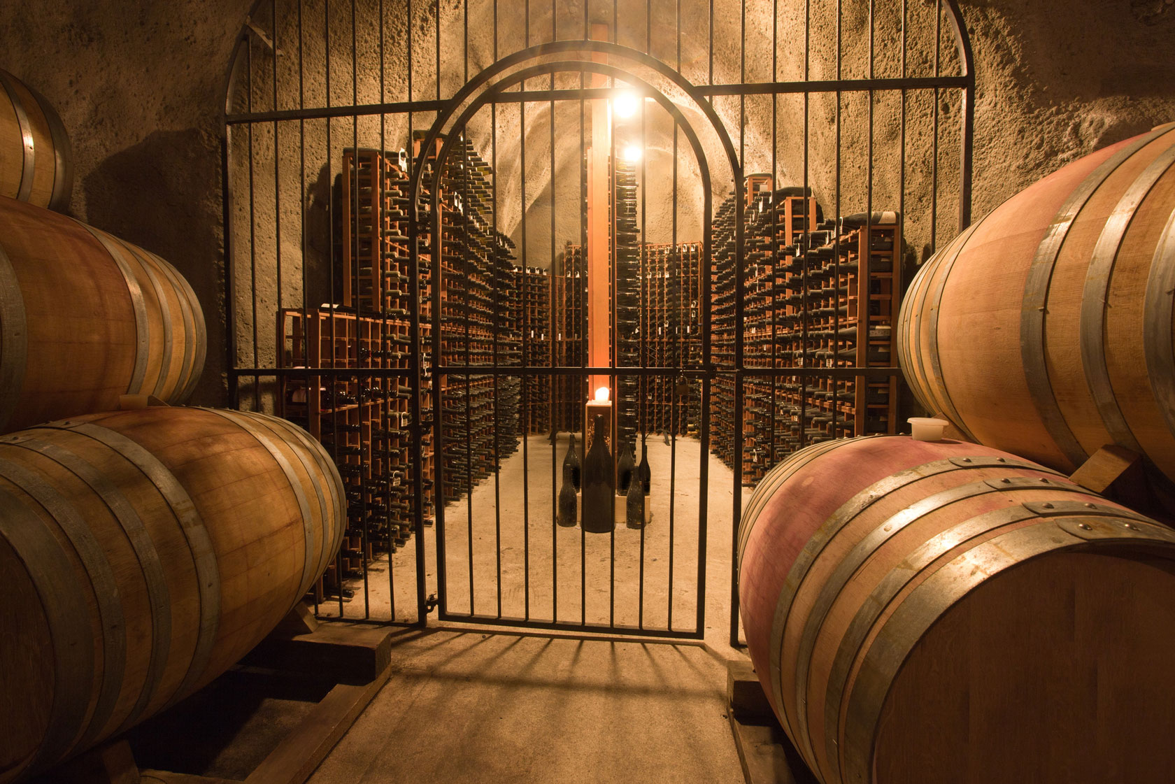 Cellar