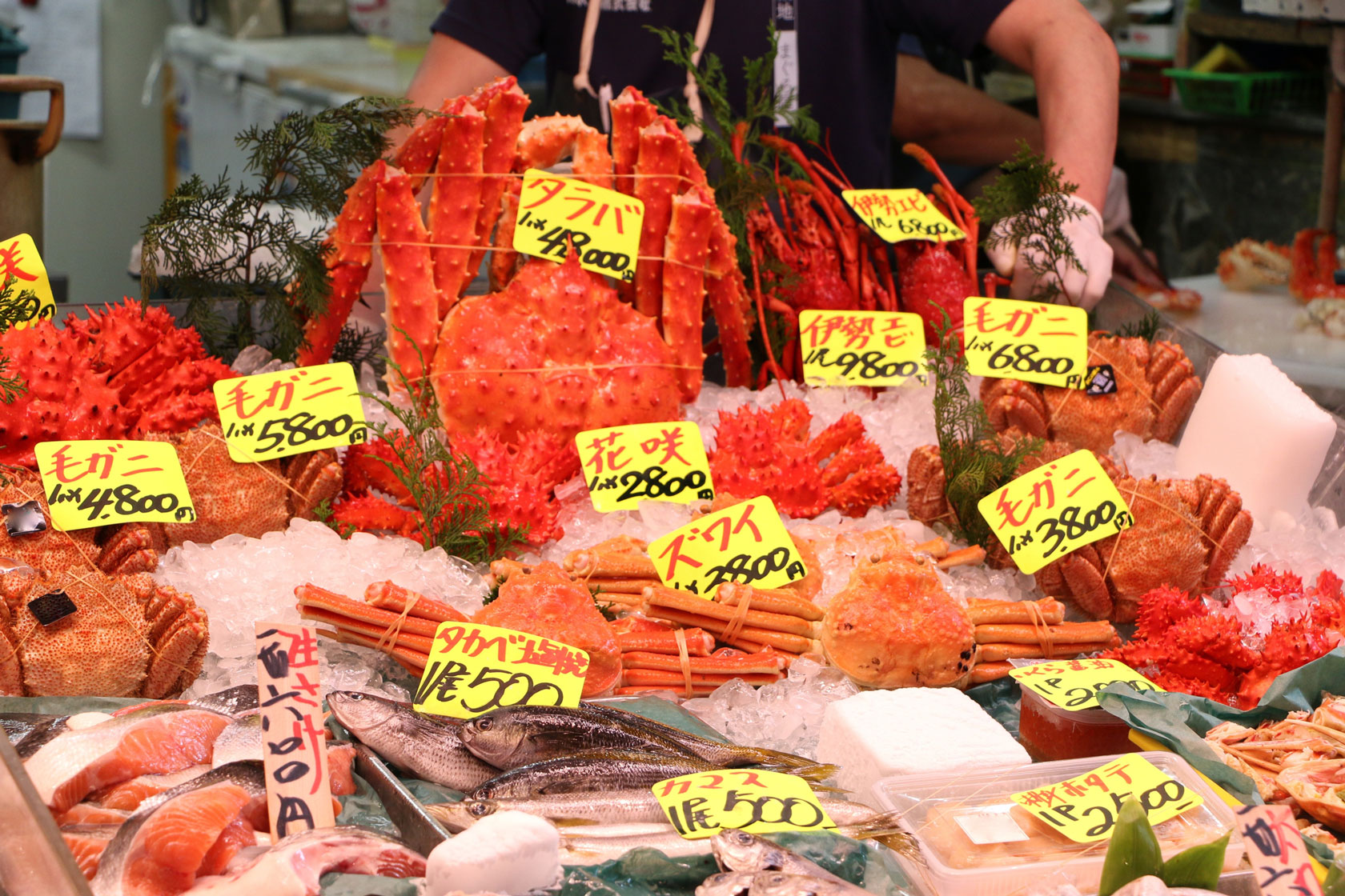 Tsukiji Fish Market