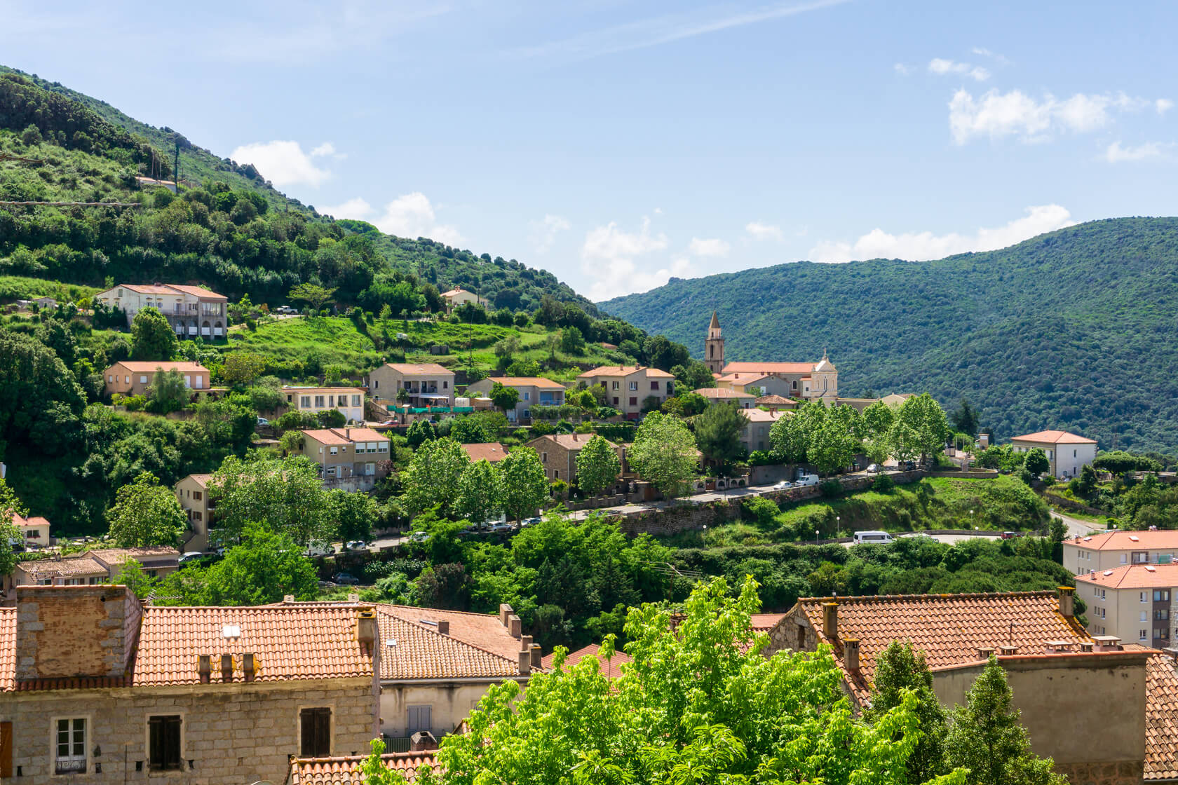 Landscape on Corsica island, Beautiful top view of Calvi town with castle on hill in summertime, France