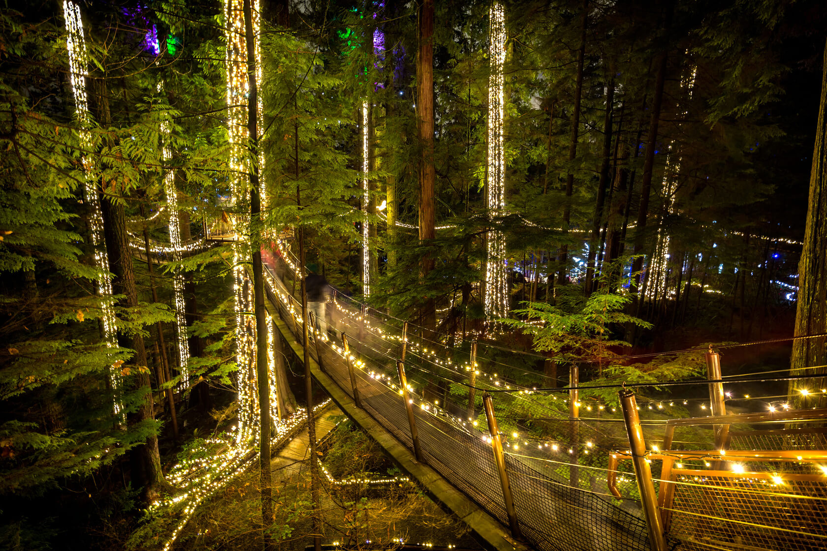 suspension bridge) NightView of Capilano Suspension Bridge, Vancouver, Canada