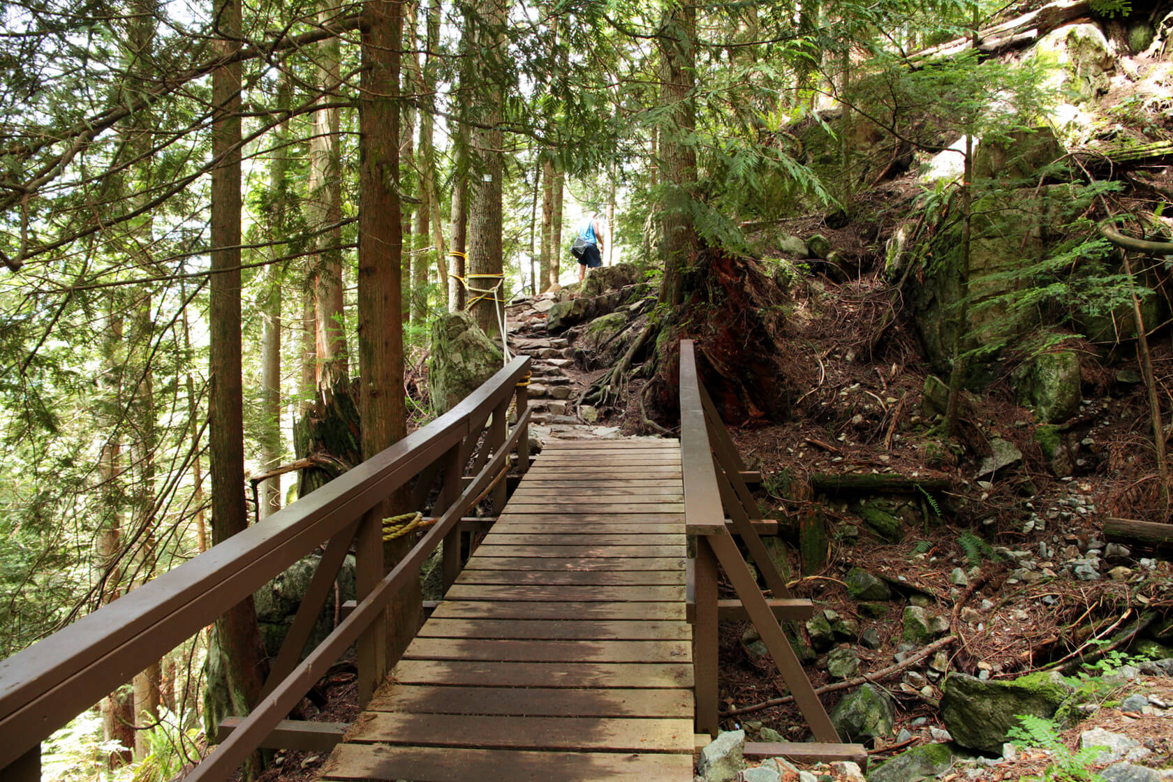 "Hiking up Grouse Mountain near Vancouver, British Columbia, Canada. Some parts of the path have stairs nailed to the roots of trees."