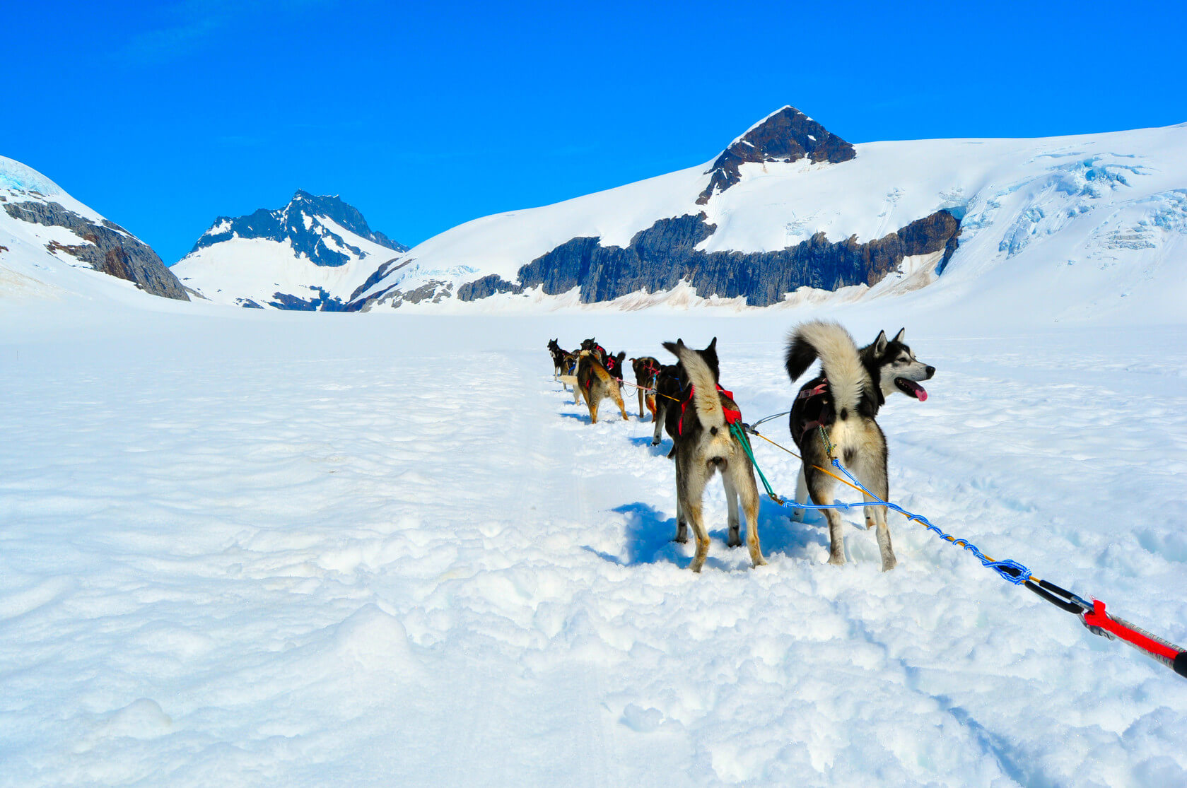 Snow, dog sled, mountain side