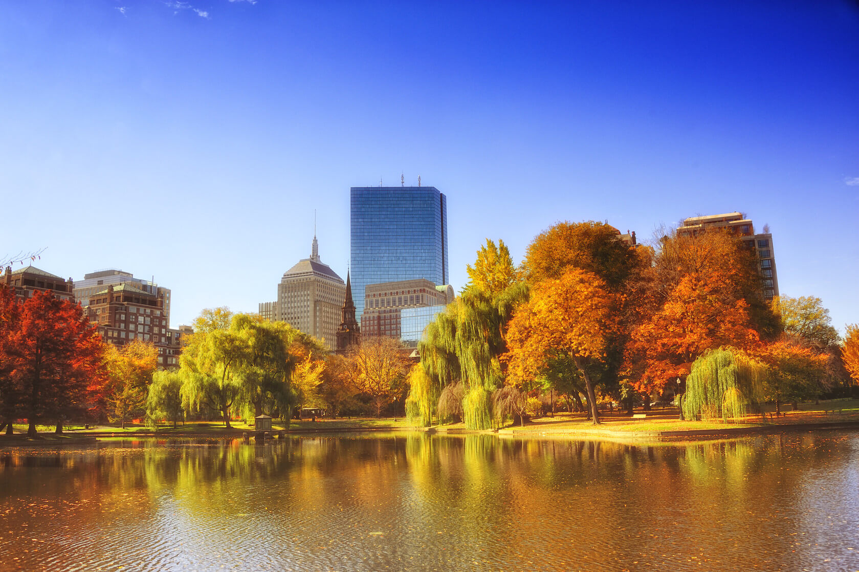 Boston, Autumn, Foliage, Skyline