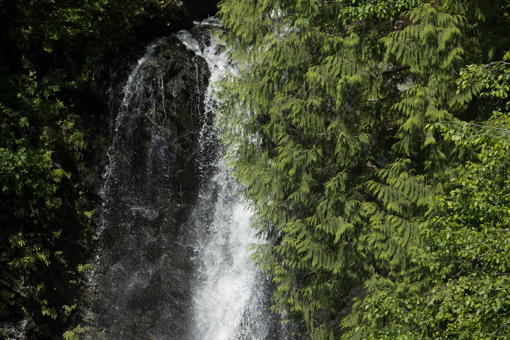 Exploring Wrangell–St. Elias National Park & Preserve, waterfall
