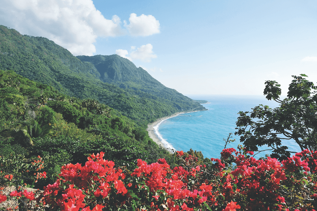 A luscious forest by the ocean featuring red flowers