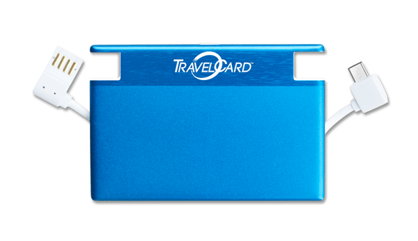 a travel card gadget case for phone and accessory chargers