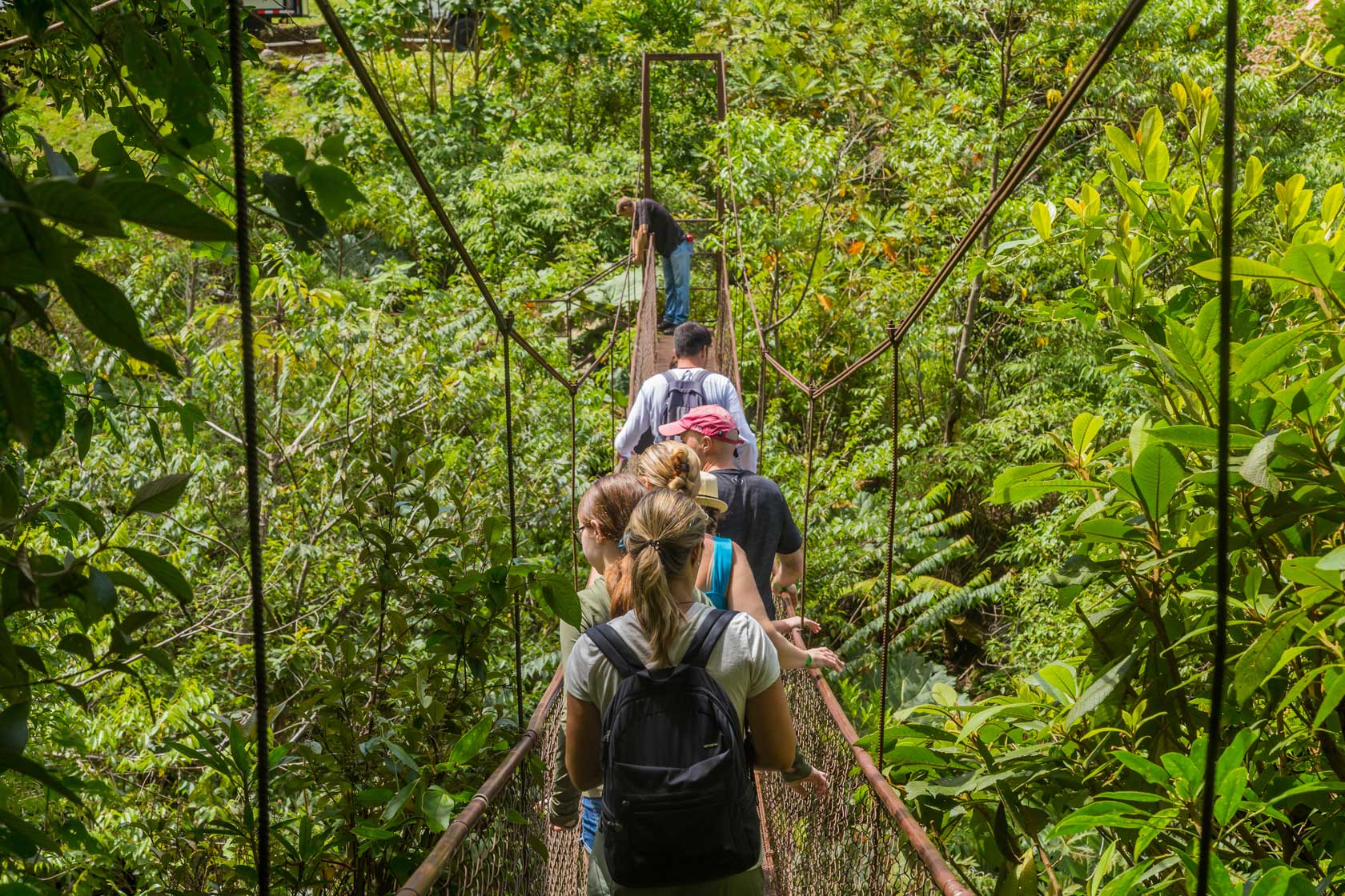 People crossing a hanging bridge in the jungle of Panama